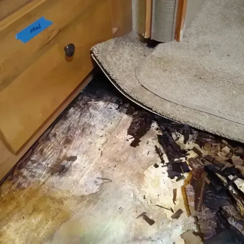 Wood Floor Water Damage in Warren County, VA